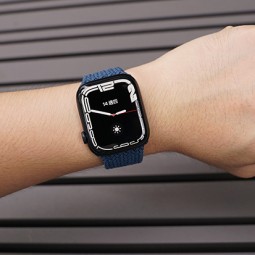 Apple vẫn chiếm ưu thế trên phân khúc smartwatch.