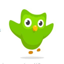 Hướng dẫn học tiếng Anh online bằng Duolingo