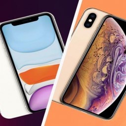 So sánh iPhone 11 và XS Max - Có gì khác biệt