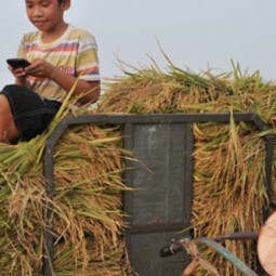 Viettel muốn mỗi người dân Việt đều có smartphone