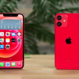 2 mẫu iPhone 12 Mini và 13 Mini sẽ không xuất hiện tại Việt Nam